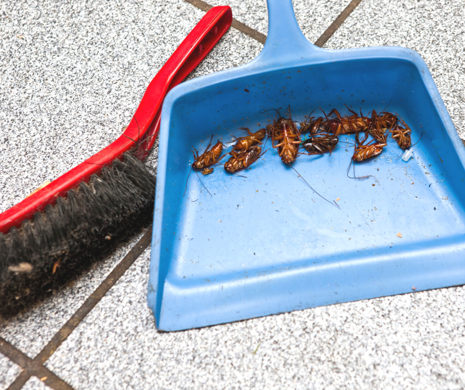burst a bug_services (11) burst a bug_services (11)